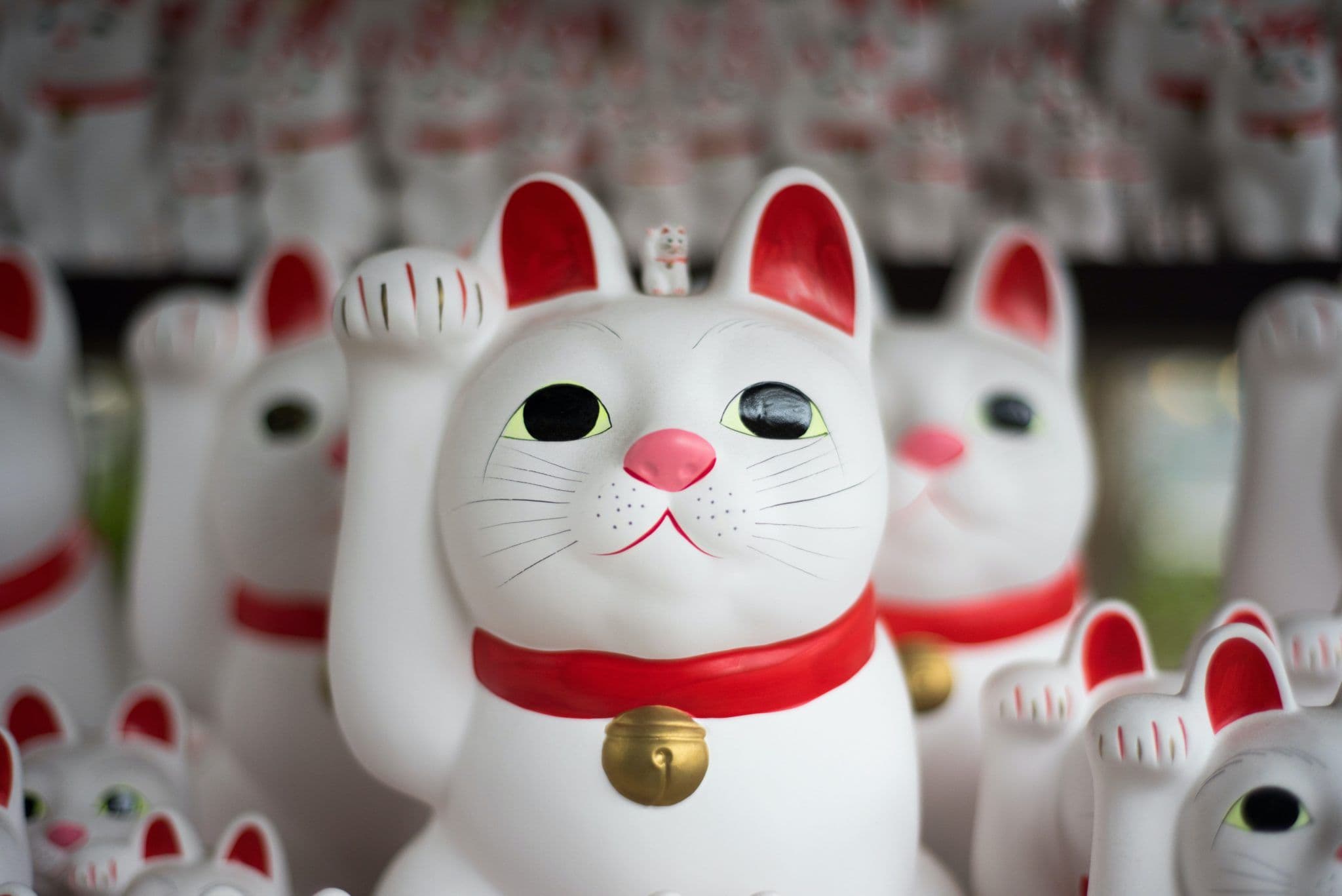 Shodo : Une grille de salaire publique pour toujours plus de transparence